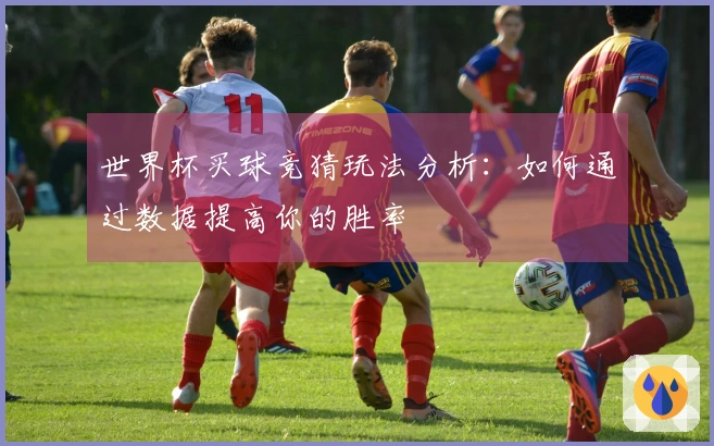 世界杯买球竞猜玩法分析：如何通过数据提高你的胜率