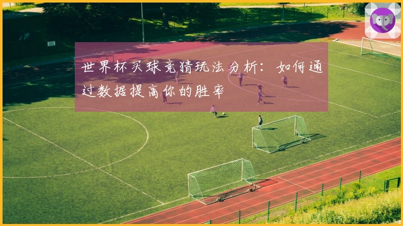 世界杯买球竞猜玩法分析：如何通过数据提高你的胜率
